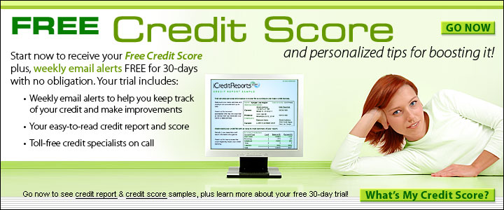 Experian Business Credit Report